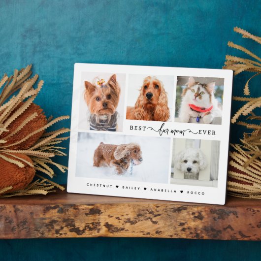 Moderne Kat & Hond Mama Gift Beste Bont Mama Ooit Fotoplaat (Zijkant)