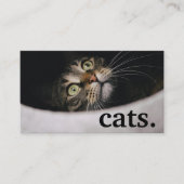 Moderne katten. Loyaliteit ponskaart Visitekaartje (Voorkant)