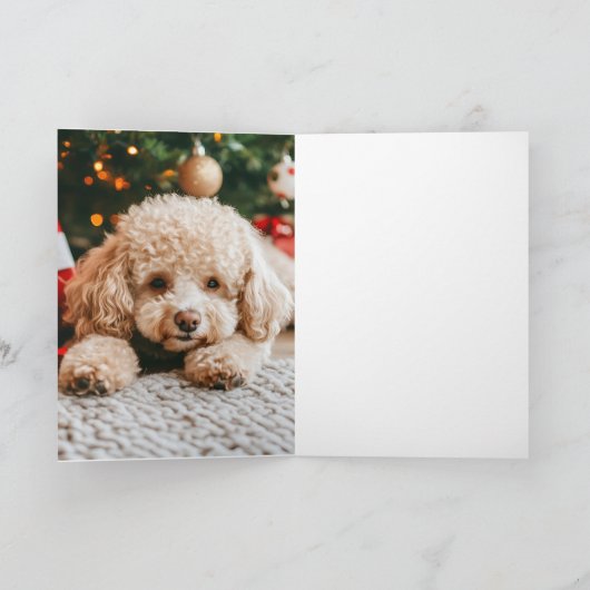 Moderne Kerst 5 Foto Collage Rood Groen Gevouwen Feestdagen Kaart (Binnen)