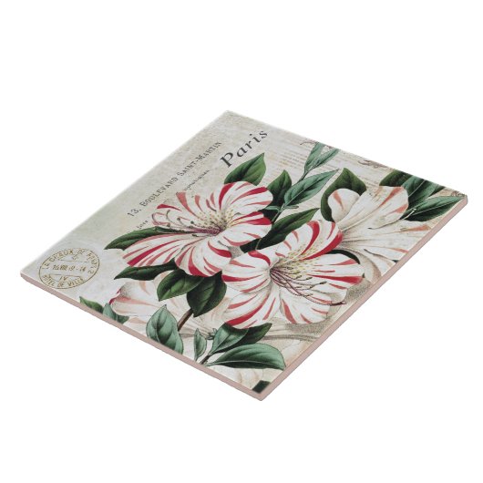 moderne  kerst amarylis tegeltje (Zijkant)