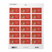 Moderne Kerst Baby zwangerschapsaankondiging Etiket (Full Sheet)
