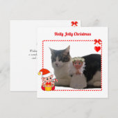 Moderne Kerst Elf & Aangepaste Kat Foto (Voorkant / Achterkant)