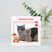 Moderne Kerst Elf & Aangepaste Kat Foto (Staand voorkant)