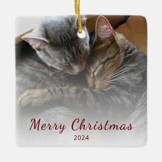 Moderne Kerst Leuke Katten Foto Feestelijk Keramisch Ornament (Voorkant)