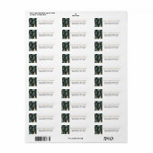 Moderne Kerstbos Retouradres Etiket (Full Sheet)