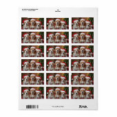 Moderne kerstfoto gepersonaliseerd retouradres etiket (Full Sheet)