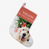 Moderne Kerstfoto Hond Kleine Kerstsok (Voorkant (Hangend))