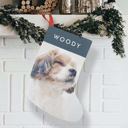 Moderne kerstfoto | Minimale Dog Photo Navy Blue Kleine Kerstsok