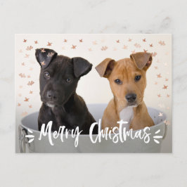 Moderne kerstfoto voor penseel script feestdagenkaart