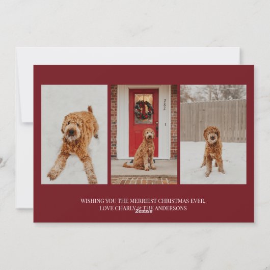 Moderne Kersthond Foto Feestdagenkaart (Achterkant)