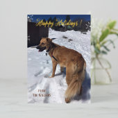 Moderne kerstkaart met verticale foto van uw hond  folie feestdagenkaart (Staand Voorkant)