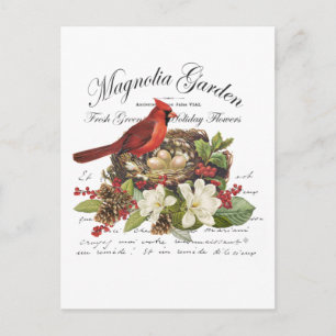 Moderne kerstkardinaal met Vintage Briefkaart