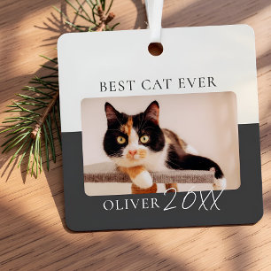 Moderne Kleurblok Aangepaste Beste Kat Ooit Foto Metalen Ornament