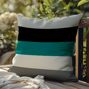 Moderne kleurblokstrepen turquoise grijs zwart wit buitenkussen