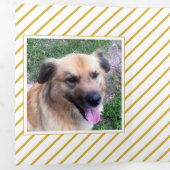 Moderne  kleuren Christmas Multi Photo Drieluik Wenskaart (Binnenzijde eerst)