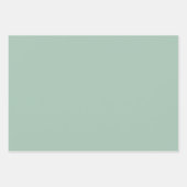 Moderne Kleuren Grijsachtige Salie Wrapping Papier Inpakpapier Vel (Voorkant 3)