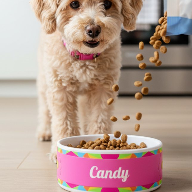 Moderne Kleurrijke Retro Geometrische Keramische P Voerbakje (Designed for tail wags and happy chomps. Spoil your pet toady, she will love you for it.)