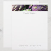 Moderne kleurrijke voeding briefhoofd (Voorkant / Achterkant)