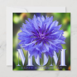 Moderne Korenbloem Elegante Blauwe Moederdagkaart Bedankkaart