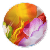 "Moderne kunstklep barst" keramische meeuw Keramische Knop (Voorkant)