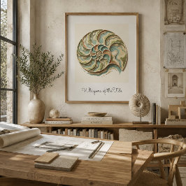 Moderne Kust Nautilus Schelp Muurkunst Poster