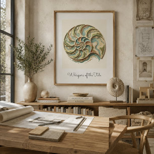 Moderne Kust Nautilus Schelp Muurkunst Poster