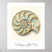 Moderne Kust Nautilus Schelp Muurkunst Poster (Voorkant)