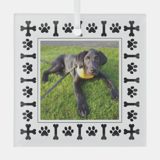 Moderne labrador Retriever Honden & Love Paws Glas Ornament (Voorkant)