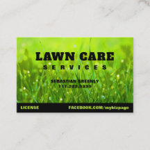 *~* Moderne Landscaping Green Grass Lawn Care