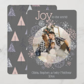 Moderne leigrijze fotolijst met pastelkleuren snee (Voorkant / Achterkant)