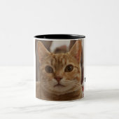 Moderne leuke foto-collage van kattenmoeder citaat tweekleurige koffiemok (Center)