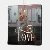 Moderne liefde op maat gemaakte kattenhuisdieren f keramisch ornament (Links)