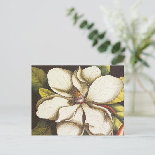 moderne  magnolia briefkaart (Staand voorkant)