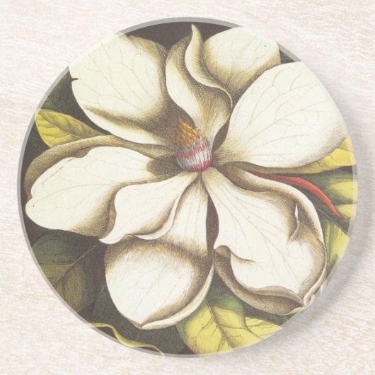 Moderne Magnolia Zandsteen Onderzetter (Voorkant)