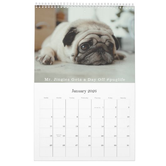 Moderne marineblauw kleurenblokfamilie foto-collag kalender (Jan 2026)