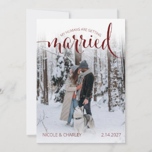 Moderne Mensen Die Trouwen Huisdier Foto Verloving Save The Date