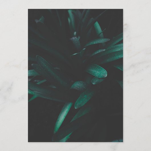 Moderne menu Drinken restaurant | Prijslijst (Achterkant)