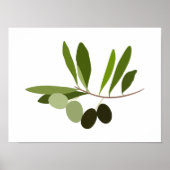 Moderne, met de hand geverfde gouache Olive Branch Poster (Voorkant)