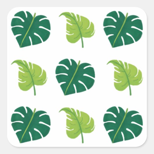 Moderne minimaal groene Plant bladeren Vierkante Sticker (Voorkant)