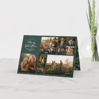 Moderne minimale groene 11 foto botanische familie