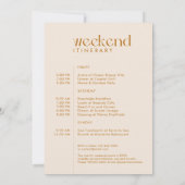 Moderne minimale "Last Fling" vrijgezellenfoto Kaart (Achterkant)