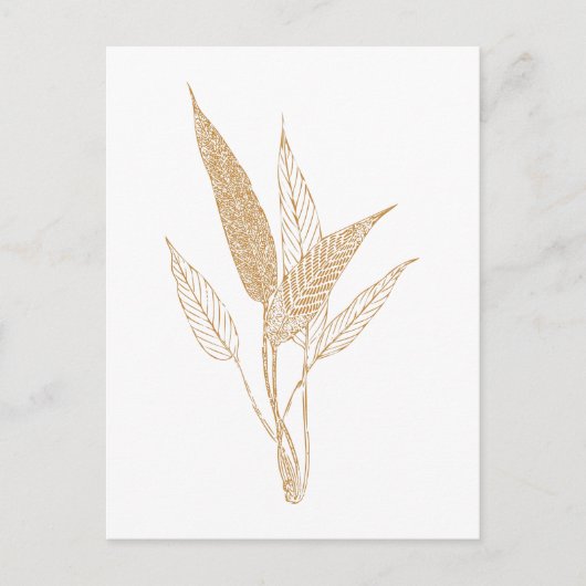 Moderne, minimalistische botanische bladeren die g briefkaart (Voorkant)