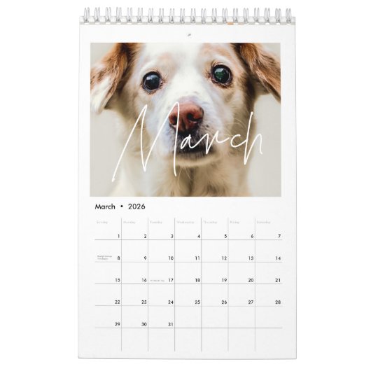 Moderne minimalistische familiekalender 2026 kalender (Mar 2026)