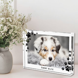 Moderne Minimalistische Pootafdruk Hond Foto