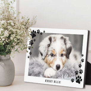 Moderne Minimalistische Pootafdruk Hond Foto Fotoplaat