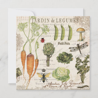 moderne  moestuin