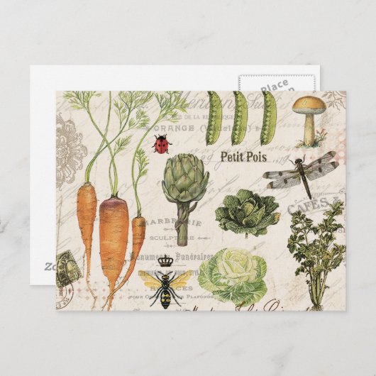 moderne  moestuin briefkaart (Voorkant / Achterkant)