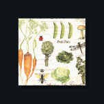 moderne  moestuin canvas afdruk<br><div class="desc">moderne  moestuin</div>
