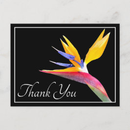 Moderne Mooie Paradijsvogel Bloemige Dankjewel Briefkaart