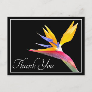 Moderne Mooie Paradijsvogel Bloemige Dankjewel Briefkaart